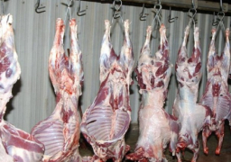وزارة التموين تعلن زيادة طرح اللحوم البلدية بالمجمعات طوال شهر رمضان