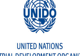 “التمثيل التجاري” يبحث فرص الترويج الاستثماري لمصر مع “اليونيدو” بطوكيو