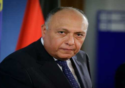 شكري يؤكد ضرورة مواجهة التدخلات الخارجية المرفوضة شكلاً وموضوعاً في ليبيا