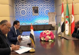 مصر تشارك اليوم في الاجتماع الثلاثي حول ليبيا
