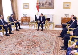 السيسى يؤكد تضامن مصر ودعمها لحكومة وشعب الإمارات والدول الشقيقة