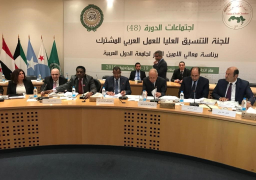 أبو الغيط يؤكد أهمية تنشيط العمل العربي المشترك بالمجالات التنموية