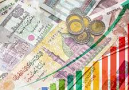 أستاذ اقتصاد: الاقتصاد المصري في طريقه الى التعافي