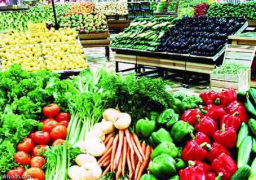 الزراعة: ارتفاع صادرات مصر الزراعية لـ أكثر من 3.7 مليون طن
