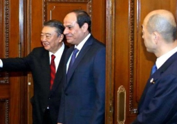 الرئاسة : إشادة دولية في قمة العشرين باليابان بجهود مصر في مجال تمكين المرأة