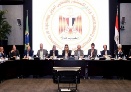 بالصور .. منتدى الأعمال المصري البرازيلي يختتم أعماله في القاهرة