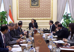 الحكومة: تطوير 9 مناطق حرة بـ3 مليارات جنيه و13 منطقة استثمارية تحت الإنشاء