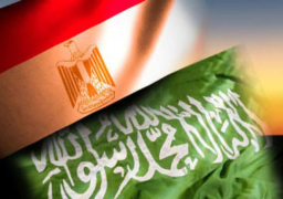 استثمار سعودى بمليار جنيه فى مستشفيين بالقاهرة الجديدة و 6 أكتوبر