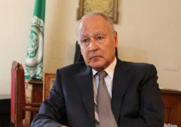 أبو الغيط يوافق على طلب المتحدث الرسمي بإنهاء إعارته للجامعة العربية والعودة لوزارة الخارجية