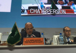 شكرى يرأس اجتماع “ترويكا” حول أخر تطورات قضية الصحراء