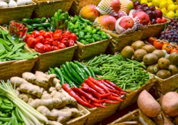 ارتفاع صادرات مصر الزراعية لـ أكثر من 4 مليون طن