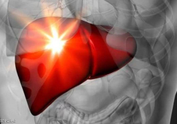 اكتشاف خلايا في الكبد قد تغني عن عمليات الزراعة