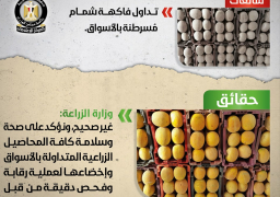 الحكومة تنفي تداول فاكهة شمام مسرطنة بالأسواق