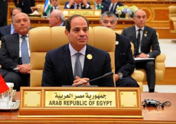 السيسي يترأس اليوم القمة الأفريقية الاستثنائية بالنيجر
