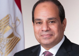 بالفيديو.. السيسي يوجه بالالتزام بأحدث المعايير العالمية في تنفيذ مشروعات المدن