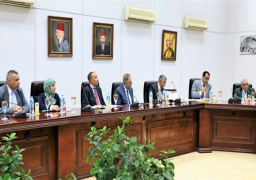 اللجنة القومية للآثار المستردة تبحث ملف بيع قطع مصرية في صالة مزادات “كريستيز”