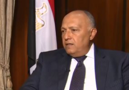 سامح شكري يؤكد استعداد مصر لتطوير العلاقات مع الدنمارك