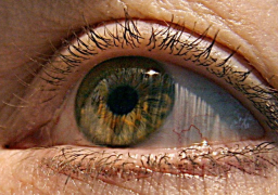 عدسة لاصقة آلية تكبر وتصغر “بطرفة العين”