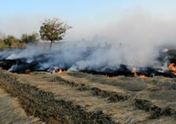 مدبولي يوجه يتفعيل غرف العمليات للسيطرة على السحابة السوداء