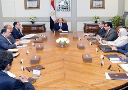 السيسي يوجه بالاستمرار في توسيع دائرة التعاون مع الدول الأفريقية