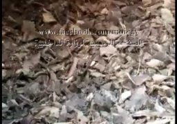 (إحباط محاولة تهريب 80 طن من مجروش إطارات السيارات المحظور دخولها للبلاد عبر ميناء الإسكندرية البحرى)