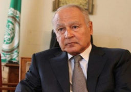 أبو الغيط يدعو الأطراف الليبية لاحترام الهدنة الإنسانية