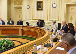 الحكومة:تنسيق مع ثاني أكبر شركة سيارات كهربائية بالصين لإقامة مصنع بشراكة مع النصر للسيارات