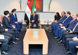 الرئيس السيسى يؤكد اعتزاز مصر بعلاقاتها مع اليابان وحرصها على مواصلة التبادل الحضاري معها