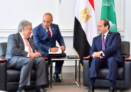 السيسي يلتقي الأمين العام لمنظمة الأمم المتحدة على هامش مؤتمر”تيكاد 7″