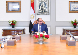الرئيس السيسى يوجه بمواصلة الجهود للتحول من التجميع إلى التصنيع وتوطين صناعة النقل