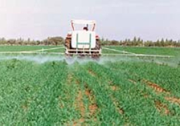 “الوزراء”: لا صحة لاستخدام مواد كيماوية ضارة لزيادة المحاصيل