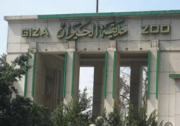 حديقة حيوان الجيزة تفتح أبوابها للزوار غدا بعد غلقها 6 أشهر