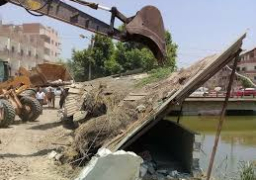 وزارة الرى تواصل حملات الإزالات بمختلف المحافظات