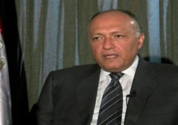 اليوم.. وزير الخارجية يعقد مباحثات مع وليد جنبلاط بالقاهرة