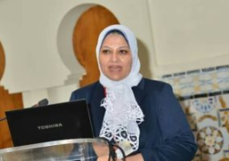 الكهرباء: 54 مليار جنيه استثمارات لتطوير شبكة نقل التيار