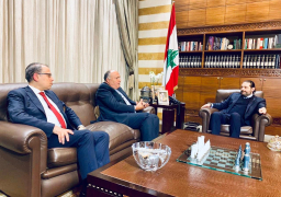 سامح شكرى يؤكد للحريرى حرص مصر على الاستقرار في لبنان