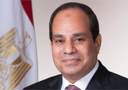 الرئيس السيسي يؤكد حرص مصر على سلامة وأمن واستقرار لبنان