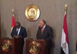 وزير الخارجية الغينى: نسعى للتعاون مع مصر فى عدة مجالات بينها مكافحة الإرهاب