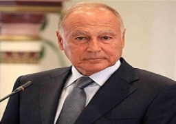 أبو الغيط يشكر وزير خارجية أيرلندا على دعم بلاده لفلسطين