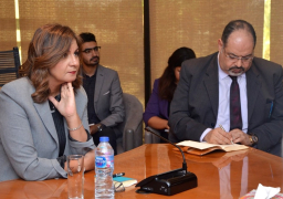 خلال اجتماعها بلجنة دمج المصريين بالخارج في جهود الاستثمار والتنمية.. وزيرة الهجرة: نتطلع لدمج التسهيلات الاستثمارية للمصريين بالخارج في بوتقة واحدة