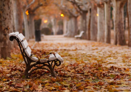 اليوم.. أول أيام فصل الخريف وطول الليل والنهار يتساويان