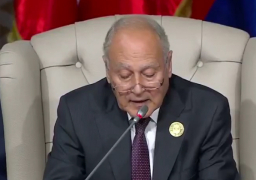 أبو الغيط: هناك إجماع عربى على رفضِ التدخلات غير العربية فى ليبيا