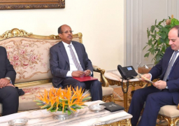 الرئيس السيسي يتسلم رسالة من رئيس جيبوتي تتعلق بالتعاون المشترك