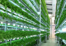 اللجنة الفنية الزراعية المصرية الأردنية تبحث التعاون بين البلدين