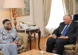 العلاقات الثنائية والقضايا الإقليمية على رأس قائمة مناقشات وزيري خارجية مصر وكينيا | صور