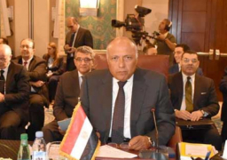 “شكري”: يجب عدم التهاون في محاسبة الدول الراعية للإرهاب في سوريا