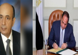 قرار جمهوري بتعيين المستشار محمد حسام الدين رئيسا لمجلس الدولة