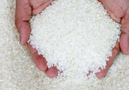 اتحاد الصناعات: المخزون الاستراتيجي من الأرز يكفى حتى منتصف 2021