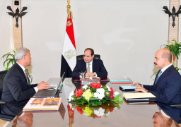 الرئيس عبد الفتاح السيسي يوجه بمتابعة تنفيذ الخطط والمشروعات المخصصة للصناعات اليدوية والتراثية بالمنوفية