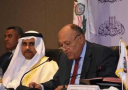 شكري: مصر تتطلع لتوقيع اتفاق مع إثيوبيا والسودان يضمن حقوقها المائية